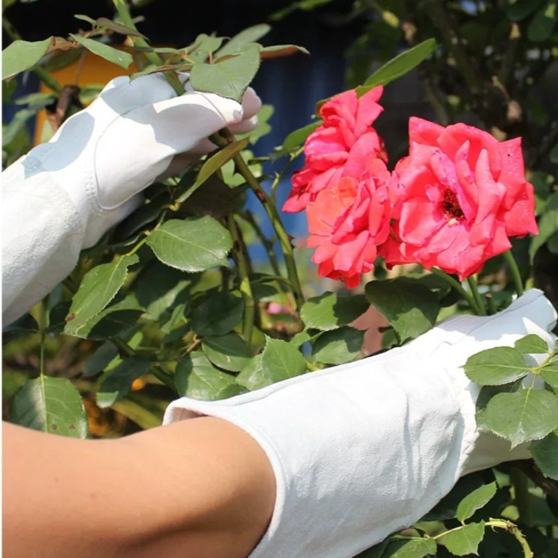 ถุงมือทำสวนกันหนาม กันน้ำ สำหร - Gardening Glove Waterproof บทวิจารณ์และราคา